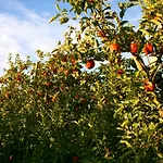 아파트 Het Mergelhoek 2 발스