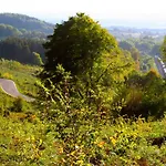 아파트 Het Mergelhoek 2 발스