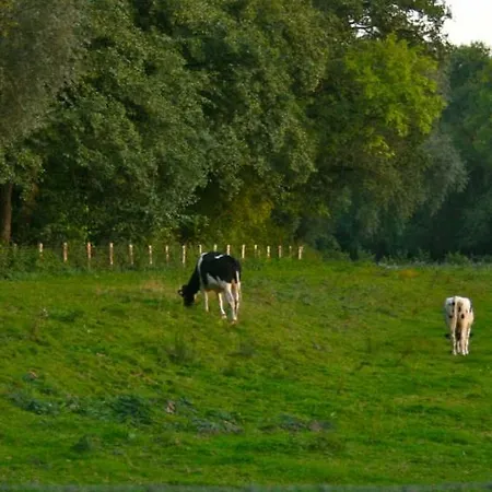 Het Mergelhoek 2 *