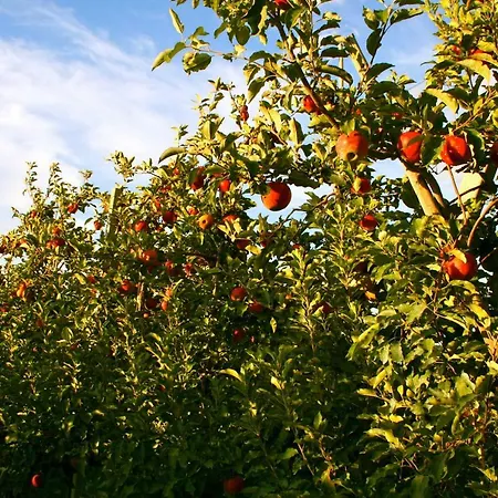 Appartamento Het Mergelhoek 2 Vaals