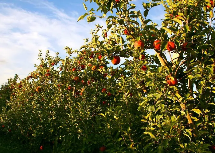 Lejlighed Het Mergelhoek 2 Vaals