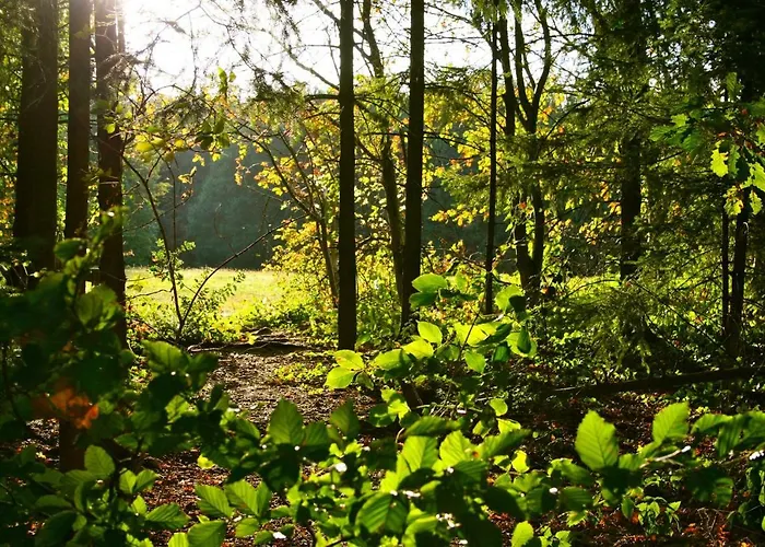 Het Mergelhoek 2 Апартаменты Валс