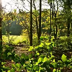 Het Mergelhoek 2 Apartamento Vaals